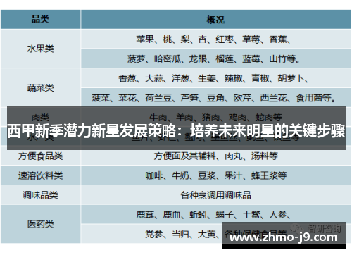 西甲新季潜力新星发展策略：培养未来明星的关键步骤