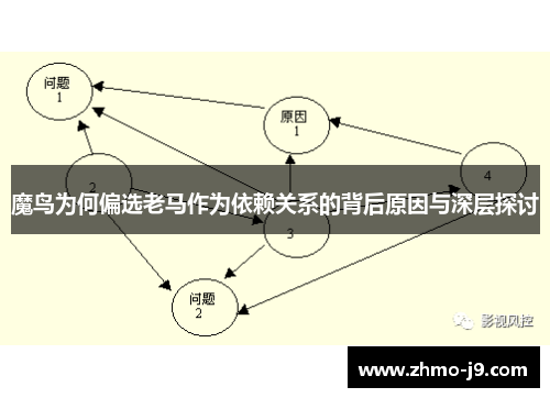 魔鸟为何偏选老马作为依赖关系的背后原因与深层探讨 魔鸟为何偏选老马作为依赖关系的背后原因与深层探讨